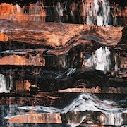 Review: Barrens - Corpse Lights